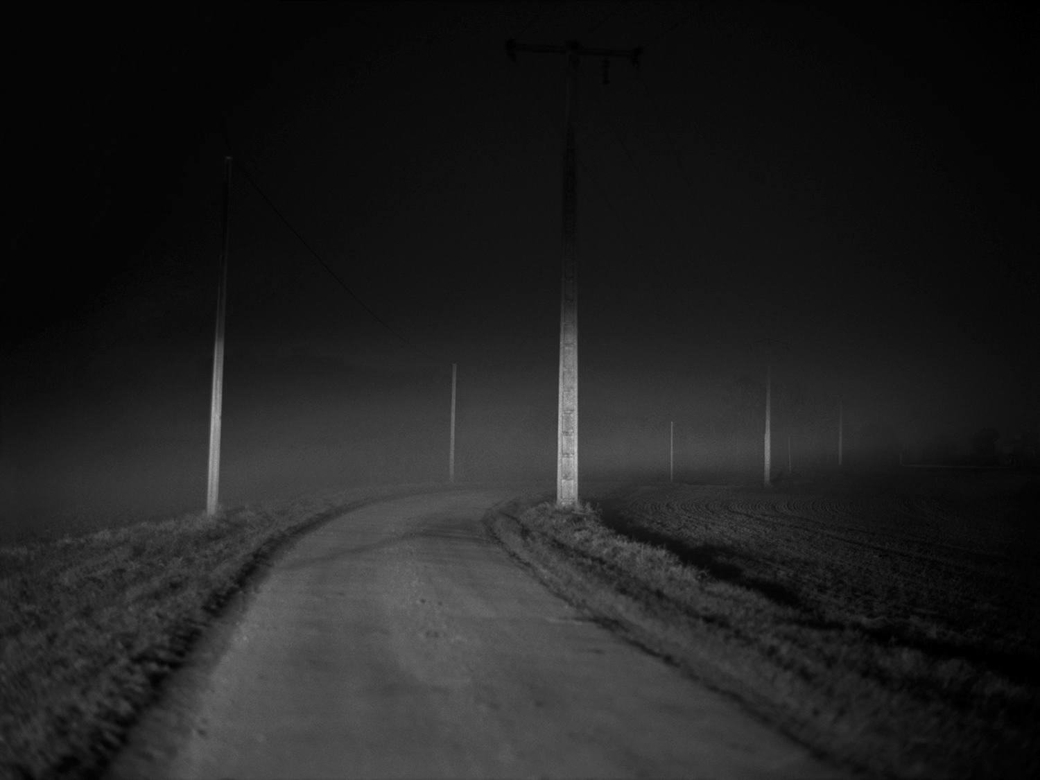 Cédric Sartore : The night road 1